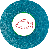 Especie Acuicultura Especie Acuicultura