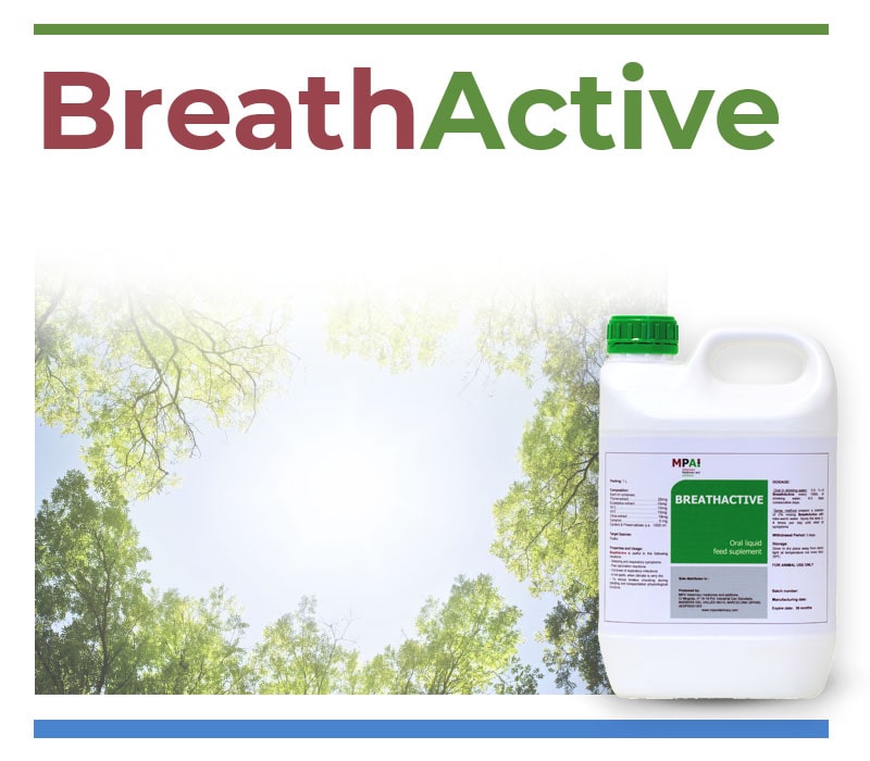 BreathActive Water