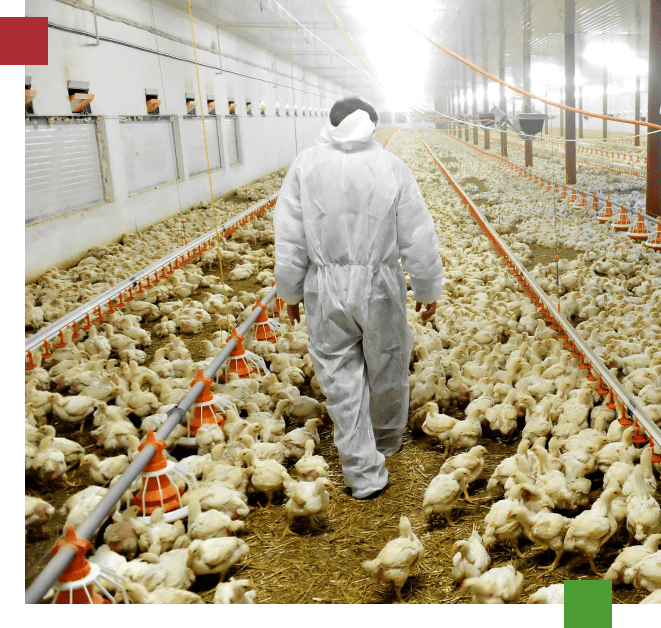 Calidad MPA Calidad MPA