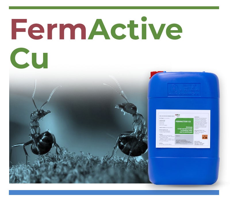 FermActive Cu Water