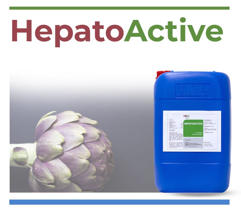 HepatoActive Water