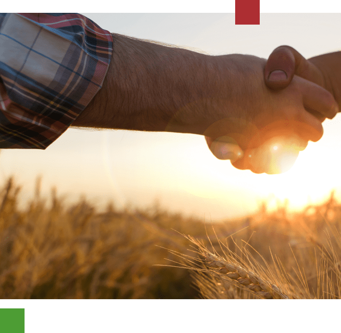 Misión y visión MPA