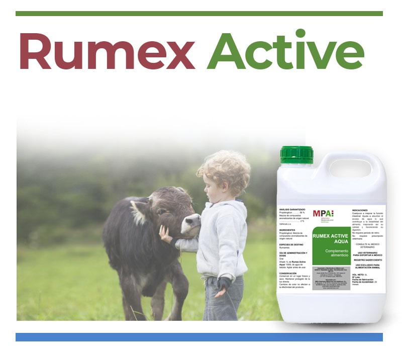 Rumex Active Water