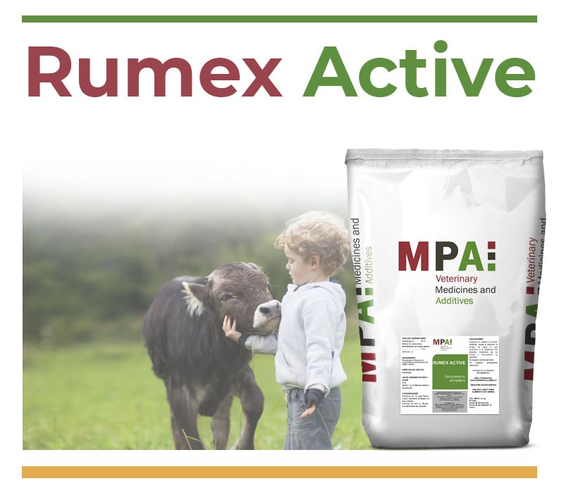 Rumex Active Feed
