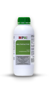 MultiVitActive Water1L